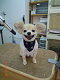 DSCN0611[1]_thumb.png